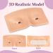 JimKing Makeup Practice Face Board - 3D Realistic Model for Eyelash Extensions Eyeliner & Eyeshadow - Ideal for Professionals & Beginners - International Shipping Available - Buy Online on GoSupps.com