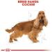 Royal Canin Dog Food Cocker Spaniel 12 Kg - Buy Online on GoSupps.com