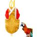 Shop MipCase Imperial Flying Waveensite - Funny Breathable Parrot Accessories for Pets | Reusable & Washable Bird Toys - Buy Online on GoSupps.com