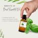 Basil Essential Oil 1/3 fl oz (10 ml) Glass Bottle 100% Pure Essential Oil - Buy Online on GoSupps.com