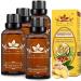 4 Packs Ginger Massage Oil for Lymphatic Drainage,100% Pure Natural Drainage Ginger Oil,SPA Massage Oils,Ginger Essential Oil Repelling Cold and Relaxing Massage Oil-30ml