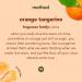 Method Daily Granite Cleaner Refill, Orange Tangerine, 68 Fl Oz - Pack of 2 | Plant-Based Cleaning Agent for Sealed Stone - Buy Online on GoSupps.com