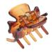 Fityle 12-Piece Resin Mini Hair Clip Set - Trendy Hair Grippers & Claws | Stylish Hair Accessories in Coffee Color for All Hair Types - Buy Online on GoSupps.com