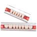 Angzhili 84 Pcs Dental Acrylic Resin Denture False Teeth Set - 23 Shade A2 Upper + Lower Dental Materials - Buy Online on GoSupps.com