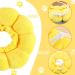 Luckious Brand Cat Recovery Collar - Cute Sunflower Neck Cone for Cats After Surgery Adjustable Cat Collar Recovery - Buy Online on GoSupps.com
