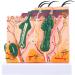 Anatomical Model of The Human Skin Tissue Structure with 35 Times Enlargement - Suitable for Research and Medical Training - Buy Online on GoSupps.com