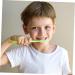 JECOMPRIS 32 StK Small Crocodile Toothbrush for Toddlers - Fun & Colorful Children's Toothbrush (Ages 2-4) - Ideal Cleaning Tool for Kids - 1 Pack 4 Colors - Buy Online on GoSupps.com