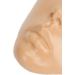 Full Face Makeup Practice Tool Detachable Eyes Silicone Skin Friendly Makeup Practice Board with Plastic Stand for Beauty Makeup Trainers for Face Painting (Wheat Skin) - Buy Online on GoSupps.com