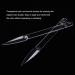100pcs Clear Stiletto Nail Swatches - Transparent Nail Art Practice Tips Display Board (Pack of 1) - Buy Online on GoSupps.com