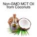 Progesterone Body Oil and Estriol Estrogen Body Oil - Simple Purer than Cream - Buy Online on GoSupps.com