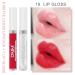 EVPCT DNM 9Pcs Deep Red Black Matte Liquid Lipsticks + 1Pcs Clear Lip Plumping Gloss Set | Long Lasting, Waterproof, 24 Hour Wear | Labiales Matte Larga Duracion 24 Horas - Buy Online on GoSupps.com