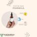 Vonderweid - Pilosella Alcohol Free Mother Tincture | Glycerin Macerate | Pilosella Drainage | Ultrasonic Extraction | Pilosella Hieracium Supplement | Vegan Alcohol Free | 100ml - Buy Online on GoSupps.com