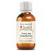 Greenwood Essential Pure Lime Essential Oil (Citrus aurantifolia) Steam Distilled 15ml (0.50 oz) 15ml (0.50 Ounce) with Plastic Euro Dropper