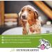 Lillis Naturals Dog Shampoo with Natural Herbs - 500ml for Skin & Coat Care | International Shipping - Buy Online on GoSupps.com