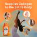 Multi Collagen Gummies with Biotin & Vitamin C | Anti-Aging Supplement for Hair, Skin & Nails - Types 1, 2, 3, 5 & 10 - Buy Online on GoSupps.com