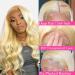 SPARKLE DIVA 20 613 Lace Front Wig Body Wave 150% Density Blonde Brazilian Human Hair Pre Plucked with Baby Hair - Buy Online on GoSupps.com
