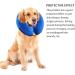 Inflatable Dog Collar - Adjustable Bowling Collar for Post-Op Recovery | Donut Collar for Small Medium Large Dogs & Cats (Size L) - Buy Online on GoSupps.com