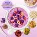 Purple potato konjac Congee 600g/can Instant Lotus Root Starch Soup food replacement Breakfast porridge Sweet potato red date chia powder Nutritious and Healthy oatmeal cereals Chinese snack (5can) - Buy Online on GoSupps.com