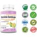 Vita-Nuage Garcinia Cambogia 25X Extract 60% HCA 90 Count Ultra Slimming Weight Loss Supplement Fat Burner Suppress your Appetite All Natural Formula - Buy Online on GoSupps.com