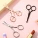 WLLHYF 3 Packs Nose Hair Scissors Rounded Tip Eyebrow Mustache Ear Hair Grooming Trimming Stainless Steel Professional Small Beard Nail Cuticle Eyelashes Beauty Scissors for Men Women Black/Silver/Rosegold - Buy Online on GoSupps.com