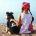 Dolahovy Dogs Hoodie - Cozy Sweater Vest for Small & Medium Pets | Autumn Winter Dog Outfits & Costumes | 3XL Black for Chihuahua & Teddy - Buy Online on GoSupps.com