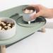 Kjaoyu Elevated Puppy Bowls for Food & Water | Ceramic Cat Bowls | Cervical Spine Protection | Double Feeder | Green & White - Buy Online on GoSupps.com