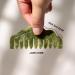 Vraiko Natural Jade Comb Head Massager & Gua Sha Tool | Scalp Massage for Relaxation & Head Care (Serpentine Green) - Buy Online on GoSupps.com