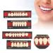 Premium Dental Care Tool - Synthetic Resin False Teeth for Natural-Looking Protheses | Ideal for Dentists - Buy Online on GoSupps.com