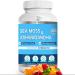 BIO VITALICA Sea Moss Ashwagandha Gummies & Mushroom Gummies (Bundle) - Buy Online on GoSupps.com