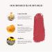Luxury by Sofia Organic Lipstick - Natural, Non-Toxic, Moisturizing & Long-Lasting | Highly Pigmented with Organic Butters, Botanical Extracts & Essential Oils | Vibrant Nude Jewel Colors - Buy Online on GoSupps.com