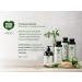 ecoLove Organic Liquid Hand Soap - Cucumber, Spinach & Parsley | Vegan, SLS & Paraben-Free, 17.6 oz - Buy Online on GoSupps.com