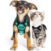 Breakproof Cat Leash Set & Adjustable Soft Kitten Vest | Reflective Stripes | Gray Small Cat Dishes | Ideal for Small Kittens - Buy Online on GoSupps.com