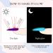 Glow in the Dark Spider Gel Nail Art - 6 Colors Luminous Drawing Gel for DIY Manicure | UV LED Soak Off Elastic Line Painting Gel with Brushes - Buy Online on GoSupps.com
