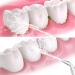 Portable Orthodontic Tooth Dispenser | Universal 3 Pack | Unisex Periodontal Tip - Professional Quality - Buy Online on GoSupps.com
