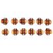 12x Mini Hair Clips - Brown Hair Grippers for Women | Claw Clips & Hair Styling Accessories - Buy Online on GoSupps.com