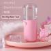 CHIRISEN Rechargeable Handy Nano Mister Facial Sprayer Steamer Mist Nano Ionic Eyelash Extensions Face Spa Beauty Skin Care with USB Cable Mini Pink - Buy Online on GoSupps.com