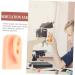 Baluue Silicone Simulation Ear Model for Jewelry Practice and Display - Khaki Prosthesis Earring Display - Buy Online on GoSupps.com