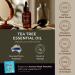 Gya Labs Tea Tree Essential Oil - 1.02 Fl Oz - for Diffuser Massage Hair Skin Aromatherapy Soap & Candle Making Scents - Buy Online on GoSupps.com
