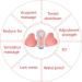 Xuuyuu Breast Massager | USB Electric Chest Enhancer with Hot Compress | Waterproof Breast Lift Enlargement and Care - Buy Online on GoSupps.com