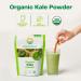 Buy Amazing Grass Organic Kale Powder 5.29 oz | Nutrient-Rich Superfood - Buy Online on GoSupps.com