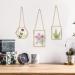 Pressed Flower Glass Frame with Real Dried Flowers, Tweezer - Handicrafts & Photo Display - Buy Online on GoSupps.com