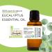 1 fl oz - Eucalyptus Essential Oil - (100% Pure & Uncut) - Greenhealth - Buy Online on GoSupps.com