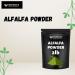 Essencea Alfalfa Powder 2lb | Green Superfood Leaf Powder | Gluten-Free Non-GMO Vegan | Rich in Fiber | Ideal for Smoothies Juices Shakes & Daily Nutrition - Buy Online on GoSupps.com