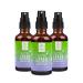 Bitterliebe liver complex spray - natural support of liver function with bitter substances and choline for fat digestion and detoxification - 3 Set