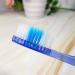 Zumaha Compact Toothbrush for Adults - 10 Ergonomic Foldable Toothbrushes for Sensitive Teeth & Gum Loss - Ideal for Travel & Daily Use - Buy Online on GoSupps.com