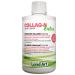 Liquid Collagen Extra Supplement Complete Joint Care Formula Fast Action With Hydrolyzed Collagen Glucosamine Chondroitin MSM Two Natural Anti-Inflammatory Magnesium & Vitamin C - 500ml Non-GMO Gluten Free No Added Sugar - Made in Canada