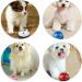 Buy Smandy Dog Door Bells - Effective Training Potty Bells for Pets | Blue Dog Communication & Cleanliness Training - Buy Online on GoSupps.com