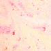 Shop Natural Detox Bath Soak - Vegan Foaming Body & Foot Soak (9 oz) - Fruit Smoothie Aroma for Skin Care | International Shipping Available - Buy Online on GoSupps.com