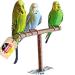 Approach aid/approach bar for the bird cage or aviary. Great handmade bird accessories made from the best natural wood