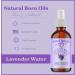 Natural Born Oils Lavender Water 1 Gallon Organic Hydrosol Calming Essence Skin Balancing Hair and Scalp Care 128 Fl Oz (Pack of 1) - Buy Online on GoSupps.com